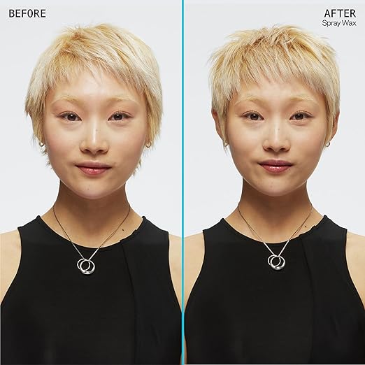 Redken Spray Wax