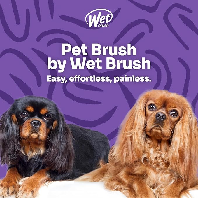 Pet Brush 3in1 Conditioner