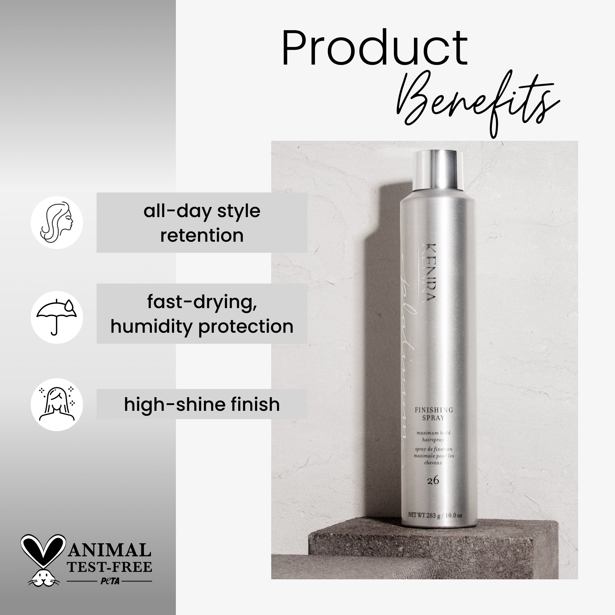 Platinum Finishing Spray (26)