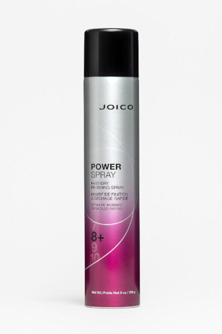 POWER SPRAY Fast Drying Finishing Spray